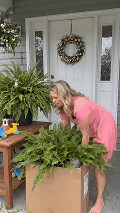🎁Hot Sale 49% OFF🔥Oversized Pre-Lit Artificial Boston Ferns - No watering, No fading