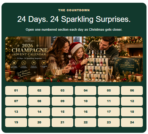 🎅Best Gift For Christmas - Sale 49 % OFF🎅🥂 24 Champagne Advent Calendar 2026 🎄